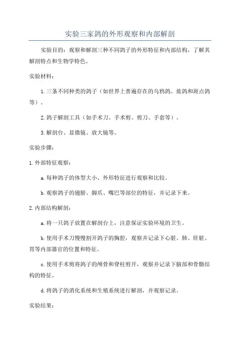 实验三家鸽的外形观察和内部解剖