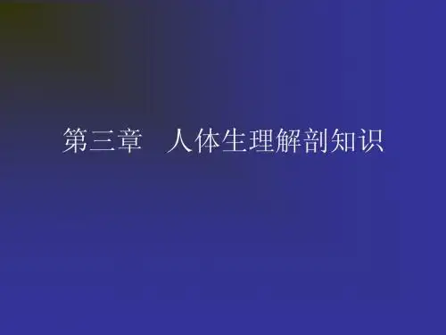 护理员培训第三章   人体生理解剖知识