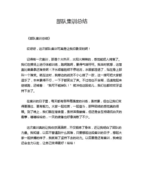 部队集训总结