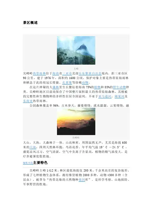 尖峰岭热带雨林