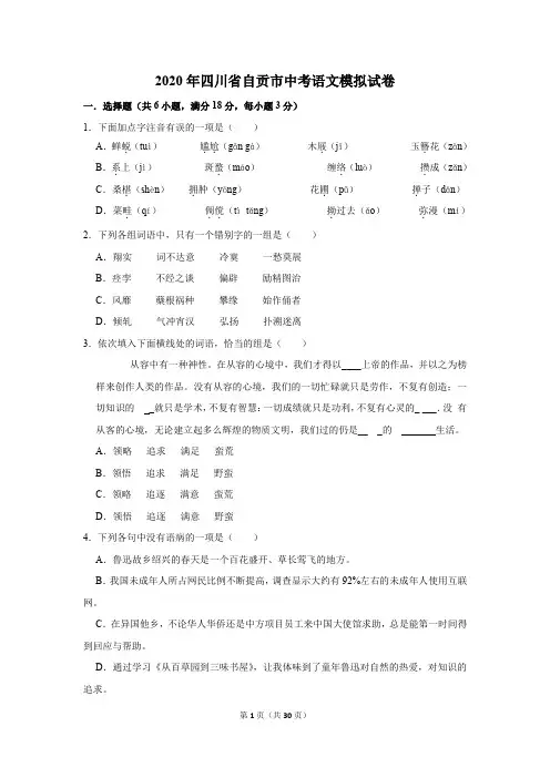 2020年四川省自贡市中考语文模拟试卷及答案解析