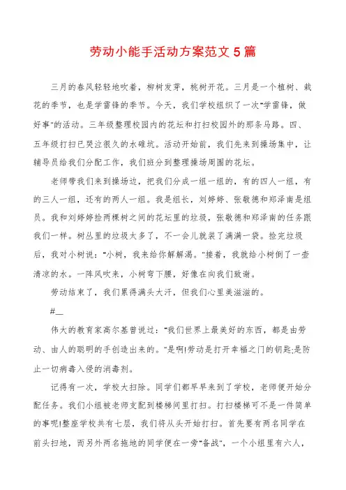 劳动小能手活动方案范文5篇
