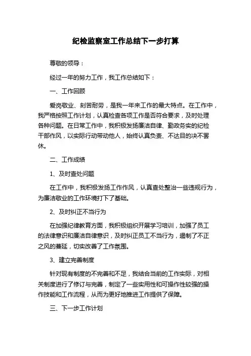 纪检监察室工作总结下一步打算