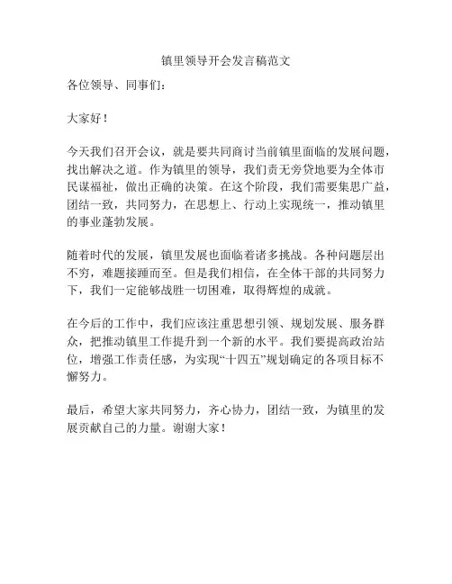 镇里领导开会发言稿范文