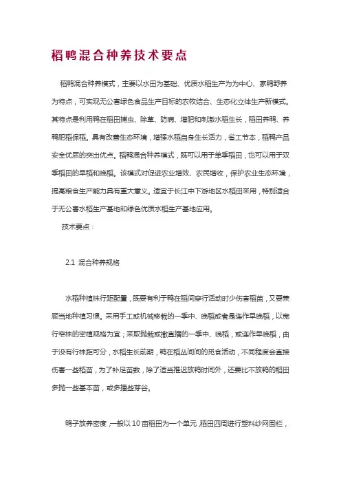 稻鸭混合种养技术要点