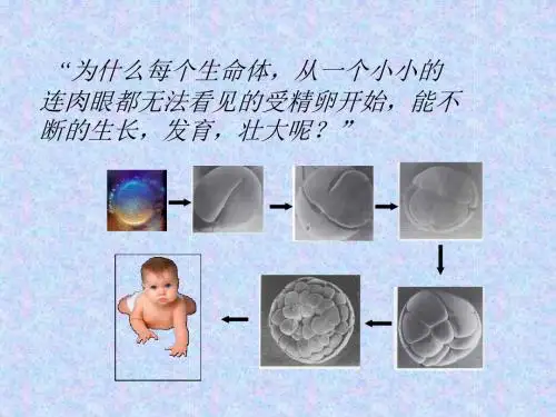 细胞增殖苏教1