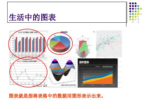 利用图表呈现分析结果