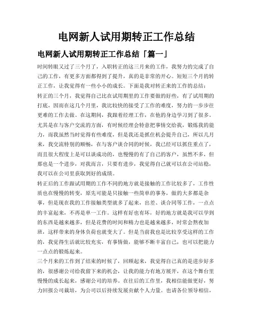 电网新人试用期转正工作总结