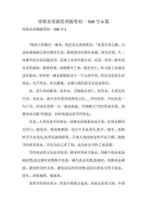 珍惜水资源优秀随笔初一500字6篇