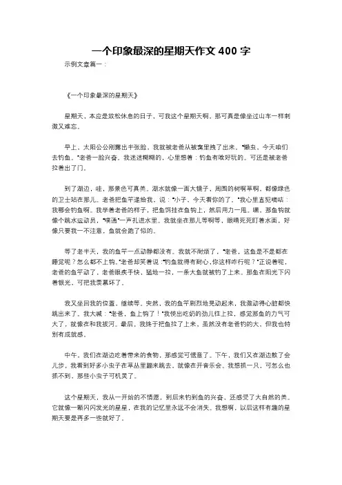 一个印象最深的星期天作文400字