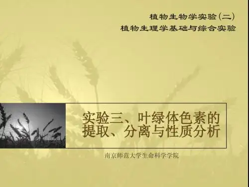 实验三、叶绿体色素的提取、分离与性质分析