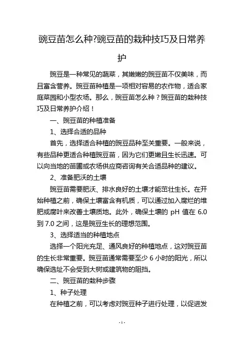 豌豆苗怎么种-豌豆苗的栽种技巧及日常养护