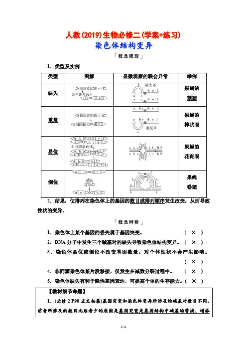人教(2019)生物必修二(学案+练习)：染色体结构变异