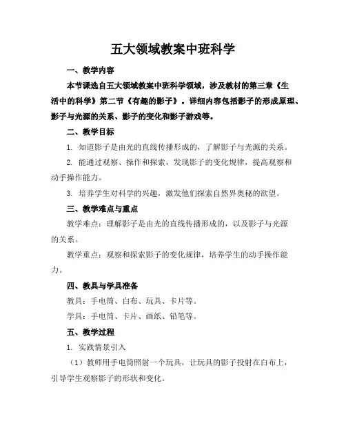 五大领域教案中班科学