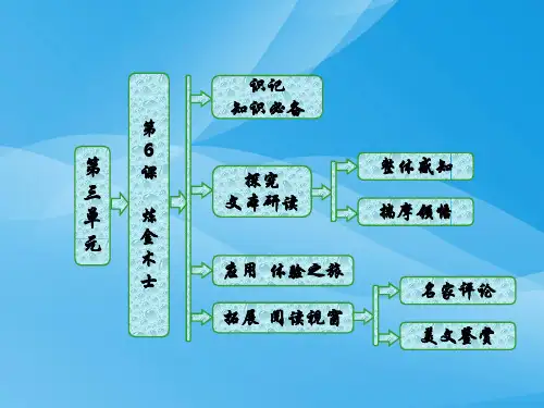 第6课《炼金术士》ppt导学语文课件PPT