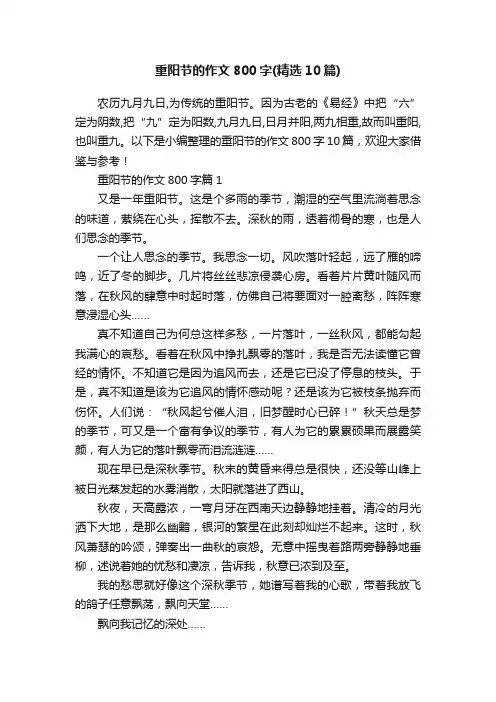 重阳节的作文800字（精选10篇）