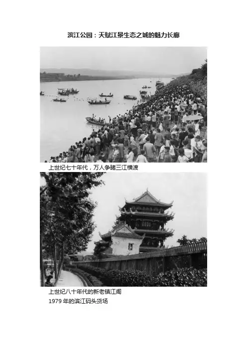 滨江公园：天赋江景生态之城的魅力长廊