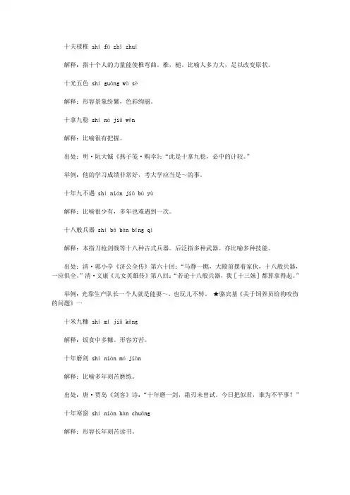 十字开头的成语(shi),第一个字是shi十的成语