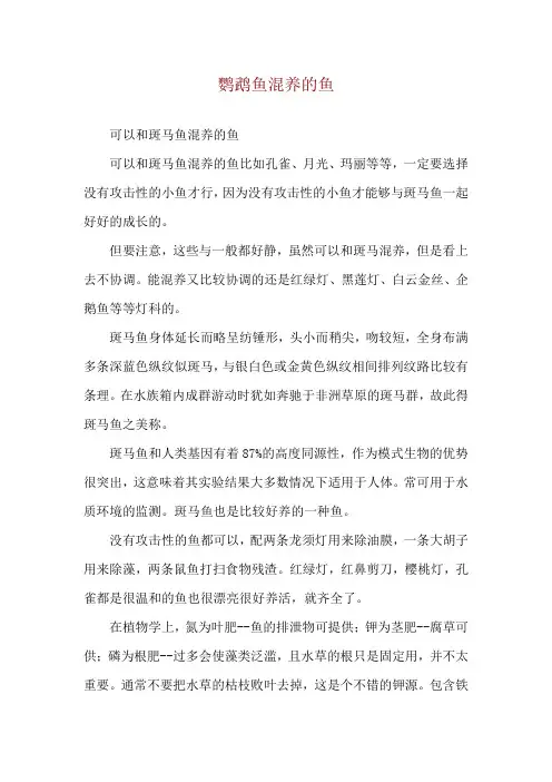 鹦鹉鱼混养的鱼