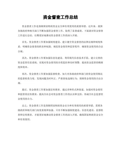资金督查工作总结