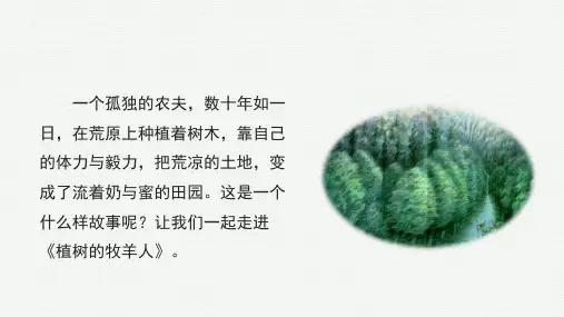 2024—2025学年统编版语文七年级上册第13课《植树的牧羊人》课件