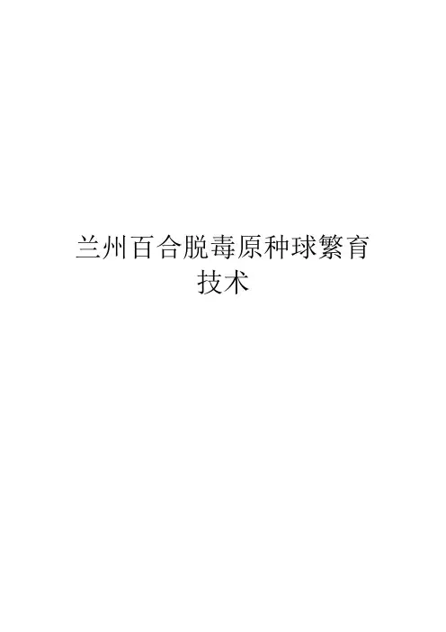 兰州百合脱毒原种球繁育技术