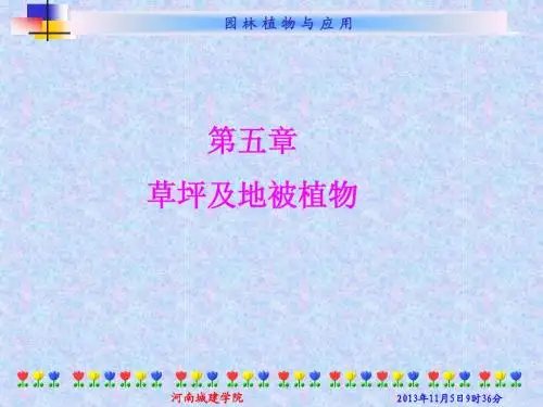 第五章 草坪与地被植物
