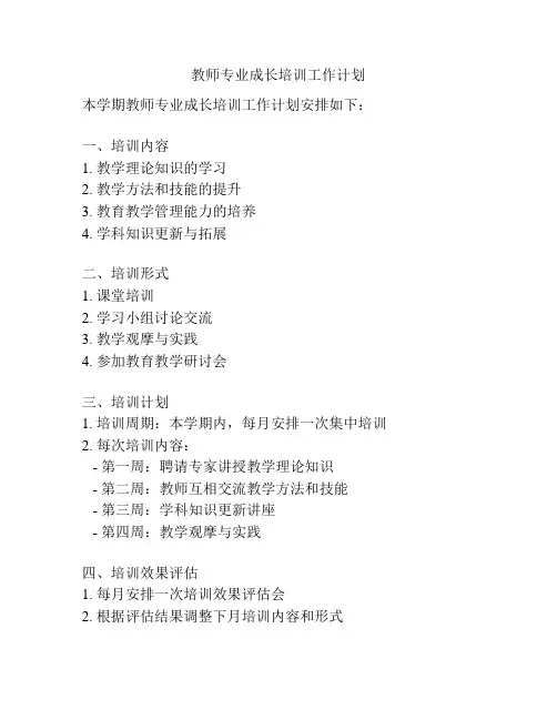 教师专业成长培训工作计划