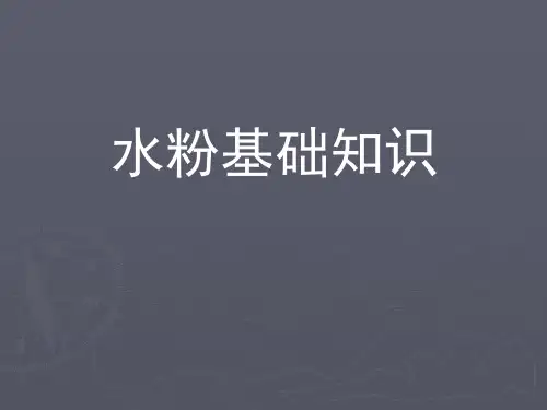 水粉画基础知识PPT