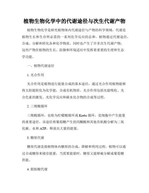 植物生物化学中的代谢途径与次生代谢产物
