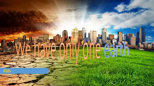 We-have-only-one-earthPPT课件
