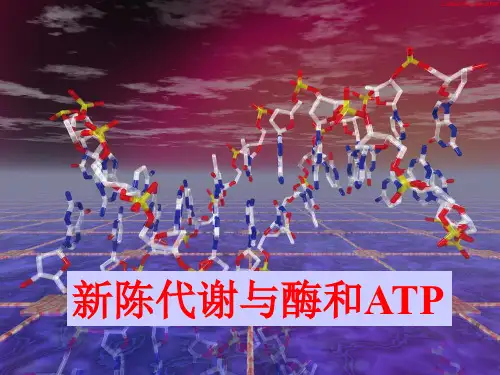 高三生物一轮复习名师精编课件 新陈代谢与酶、ATP