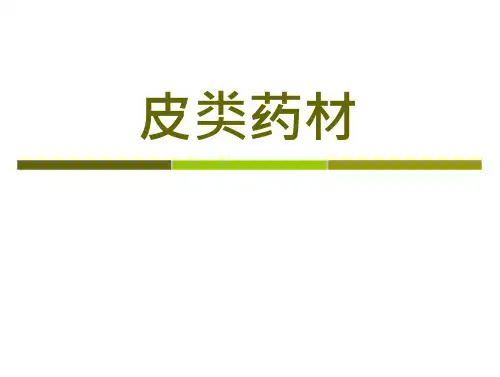 皮类药材_精品文档