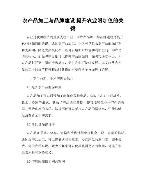 农产品加工与品牌建设 提升农业附加值的关键