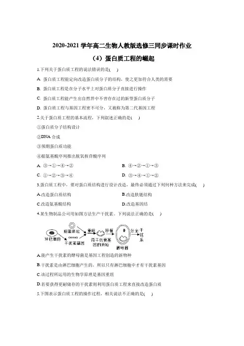 2020-2021学年高二生物人教版选修三同步课时作业1.4蛋白质工程的崛起