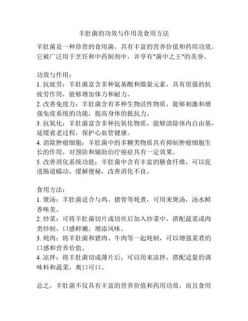 羊肚菌的功效与作用及食用方法