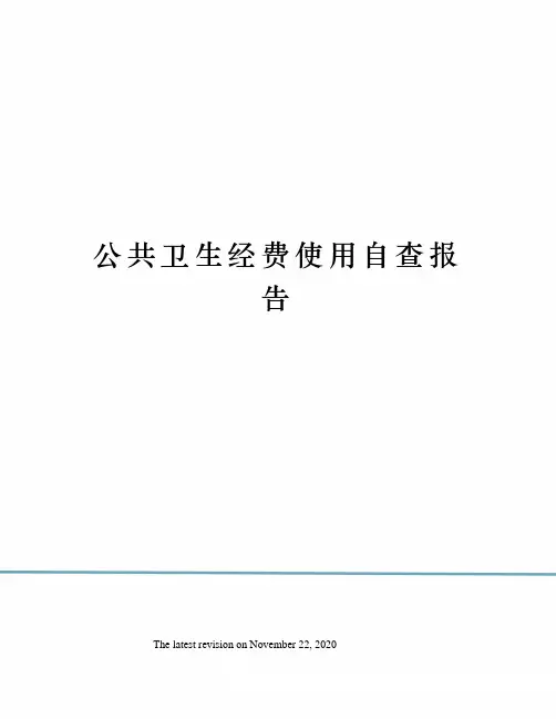 公共卫生经费使用自查报告