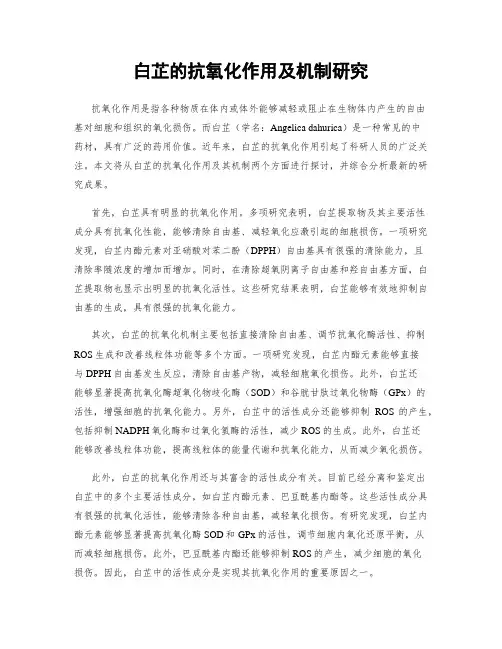 白芷的抗氧化作用及机制研究