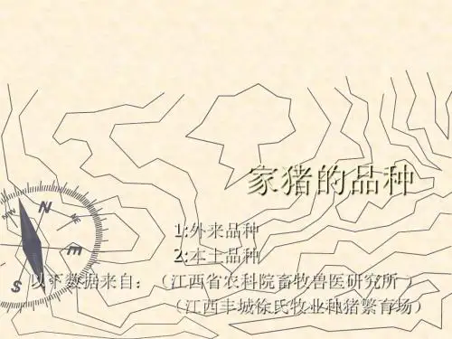 家猪的品种