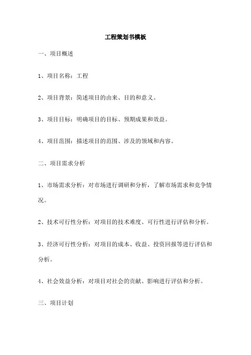 工程策划书模板