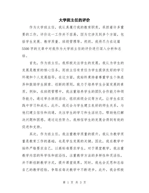 大学班主任的评价