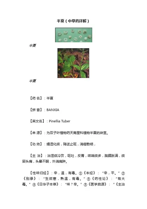 半夏（中草药详解）