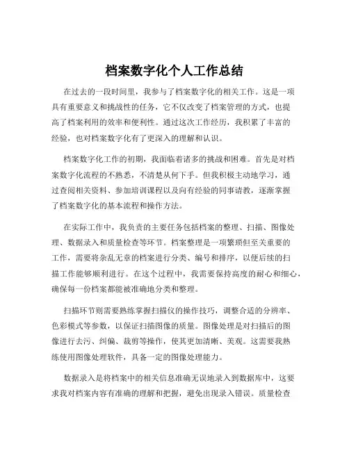 档案数字化个人工作总结