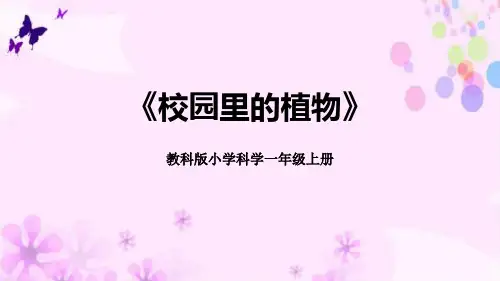 《校园里的植物》科学教学PPT课件(4篇)