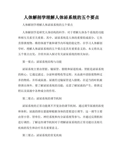 人体解剖学理解人体泌系统的五个要点