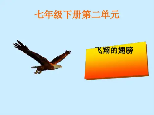 七年级下册音乐课件《小鸟,小鸟》
