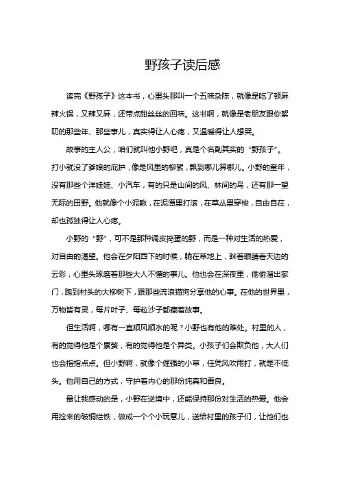 野孩子读后感