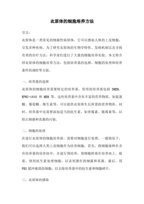 衣原体的细胞培养方法