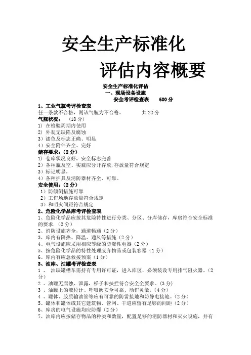 标准化评估内容(评估内容概要)