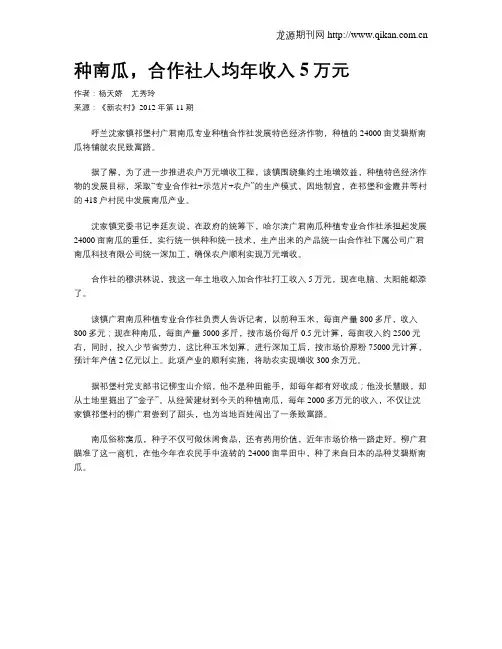 种南瓜,合作社人均年收入5万元